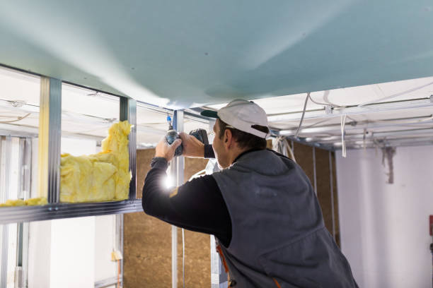 Best Types of Insulation in Oshkosh, WI