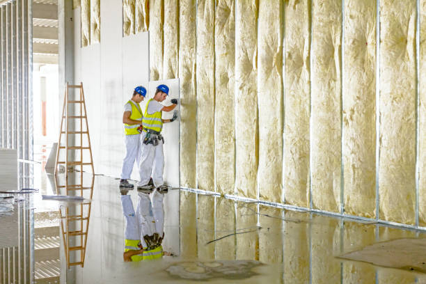 Best Insulation Installation Services in Oshkosh, WI